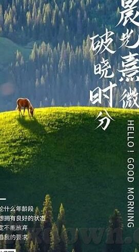 2018伦理韩国手机在线观看-2018伦理剧集，韩国手机在线观看的深度体验与思考