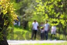 91麻豆请柬-探索多元文化交融的社交新界——91麻豆请柬的独特魅力