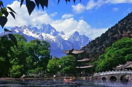 av免费在线观看麻豆-AV免费在线观影，麻豆平台的内幕与伦理考量