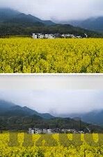 成人街舞视频-成人街舞视频，释放激情与个性的艺术展现