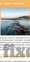 大象视频永久回家地址-大象视频，永恒的归宿——探寻其永久回家地址的旅程