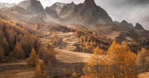 日韩真人夜色av-夜幕下的文化交融，日韩成人影视的独特魅力