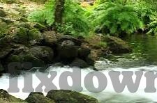 糖心vlog官网入口地址-探索多媒体世界，糖心vlog的精彩纷呈